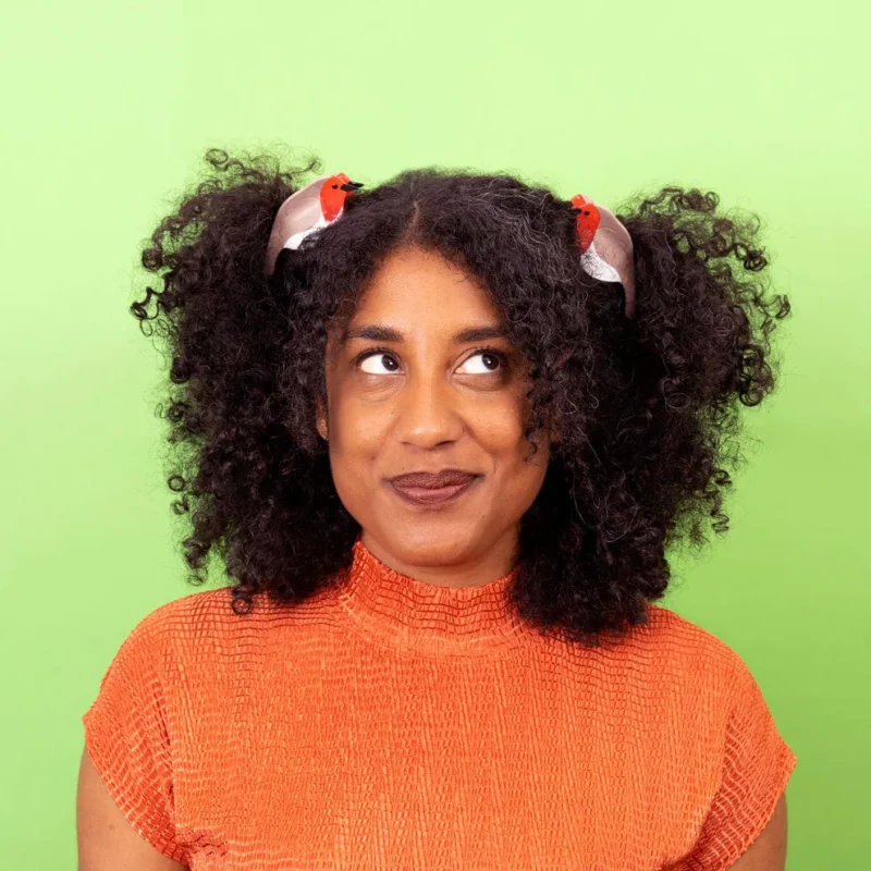 coucou suzette robin hair claw sketchshop