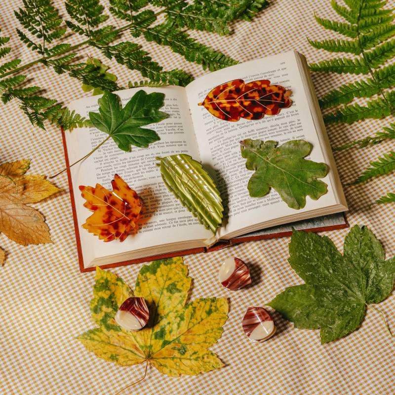 coucou suzette leaf french barrette sketchshop