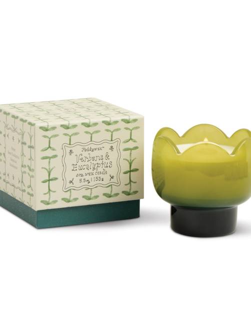 paddywax tulip soy glass candle verbena lemongrass sketchshop