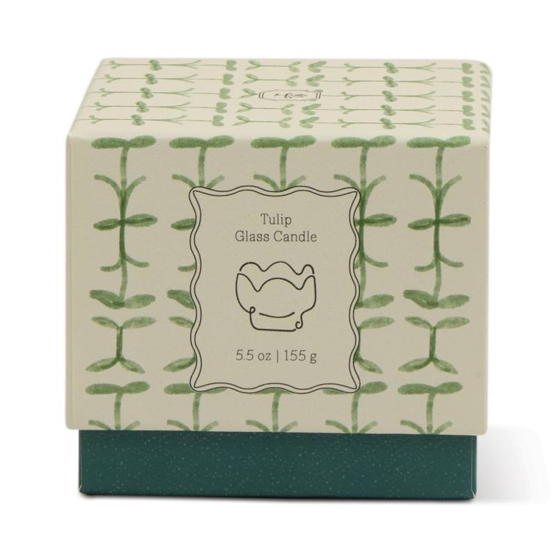 paddywax tulip soy glass candle verbena lemongrass sketchshop