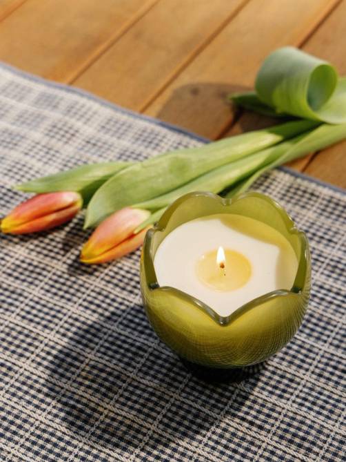 paddywax tulip soy glass candle verbena lemongrass sketchshop