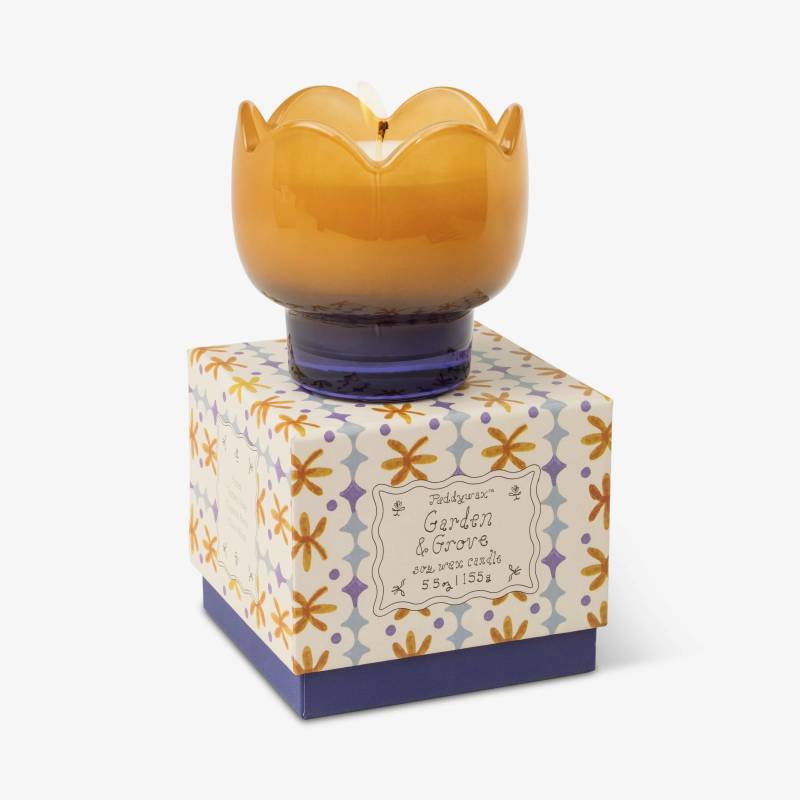 paddywax tulip soy glass candle garden grove sketchshop