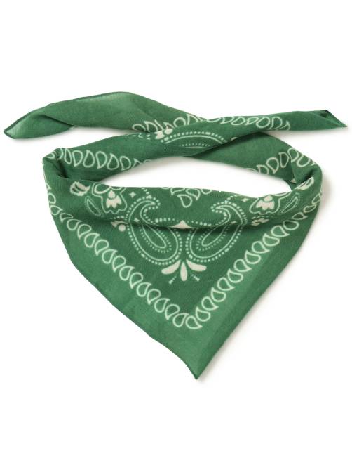 ichi iamary scarf green sketchshop